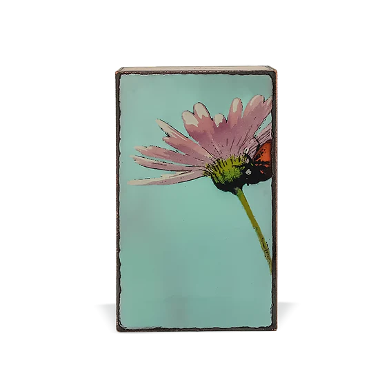 Cherish - Retired