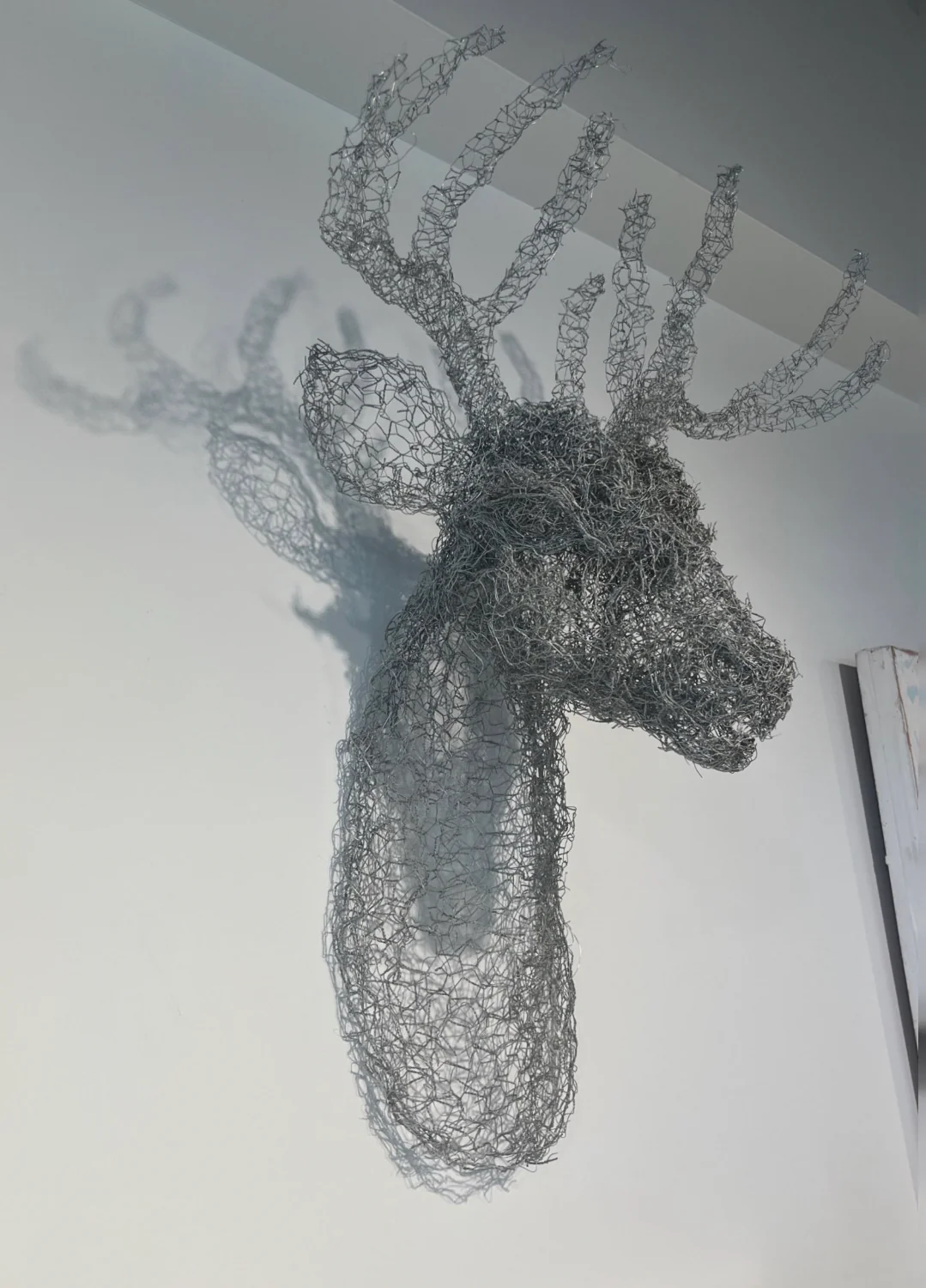 Stag - Image 2