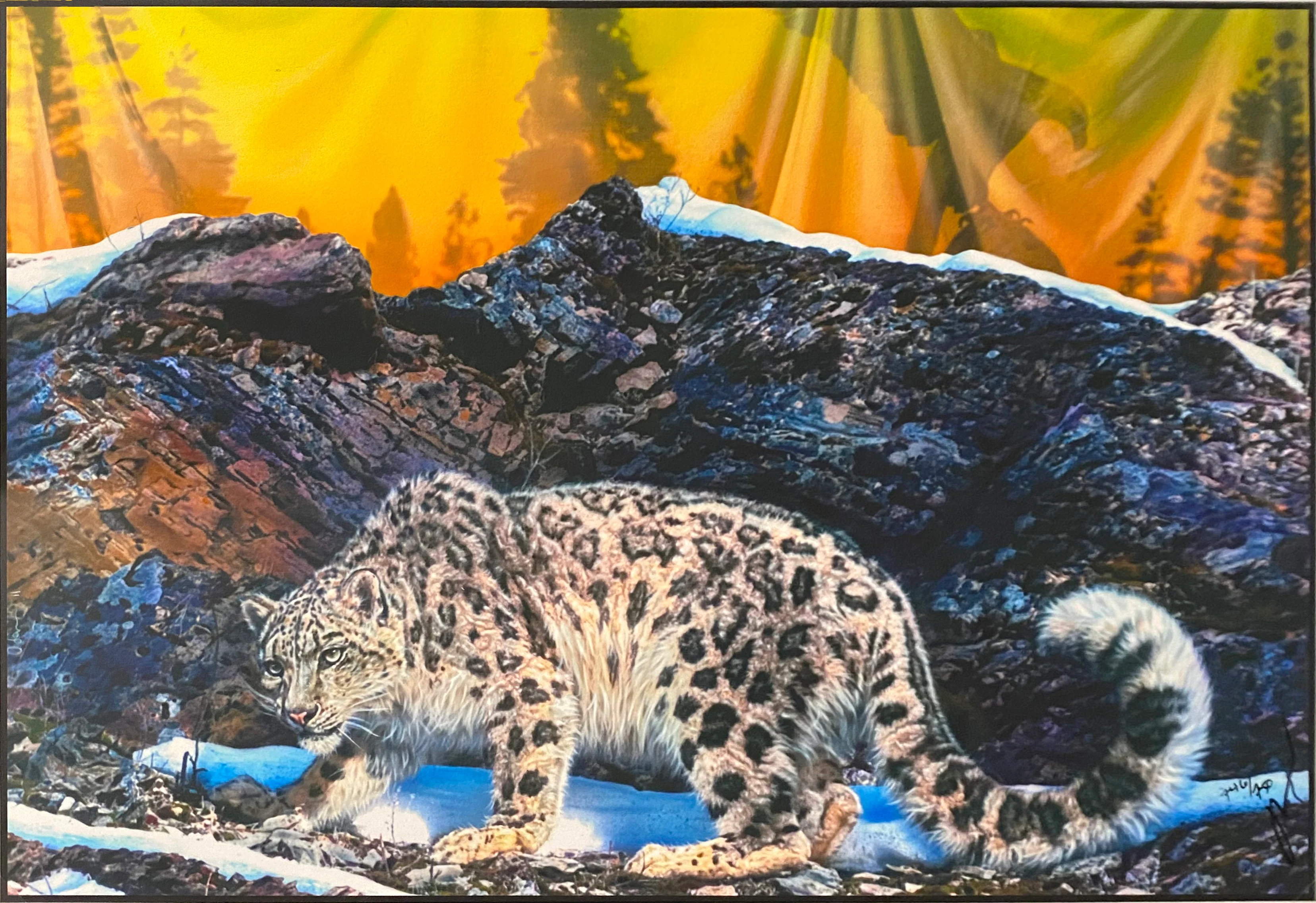 Snow Leopard