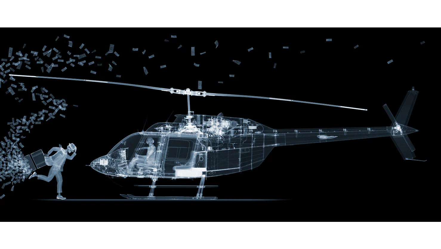 The Fly Away - Image 2